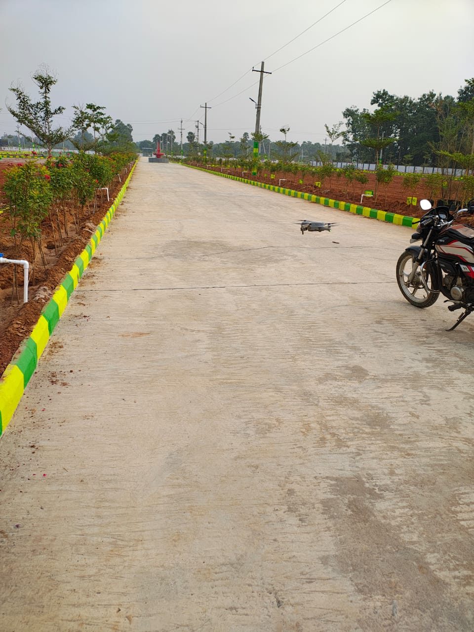 AKR Garden City II — internal roads and avenue plantation
