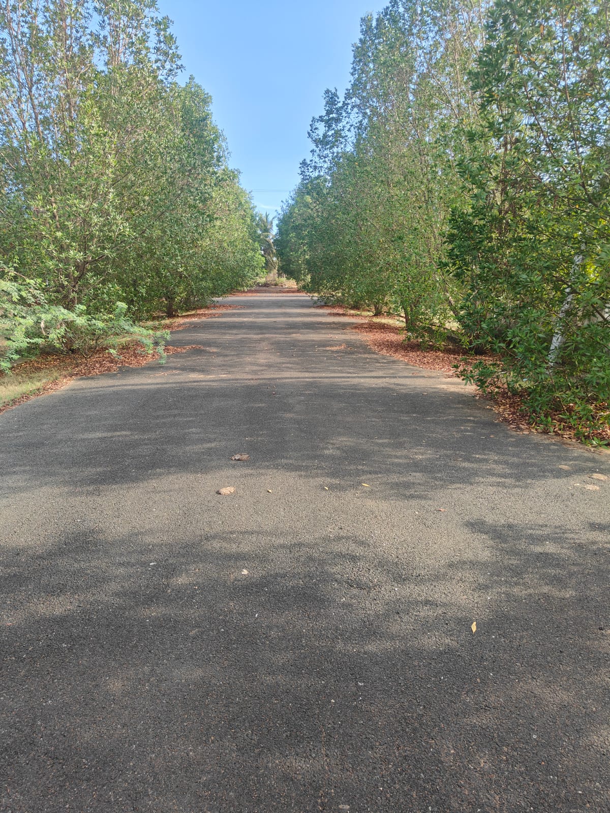 Neeladhri Township – Bhogapuram